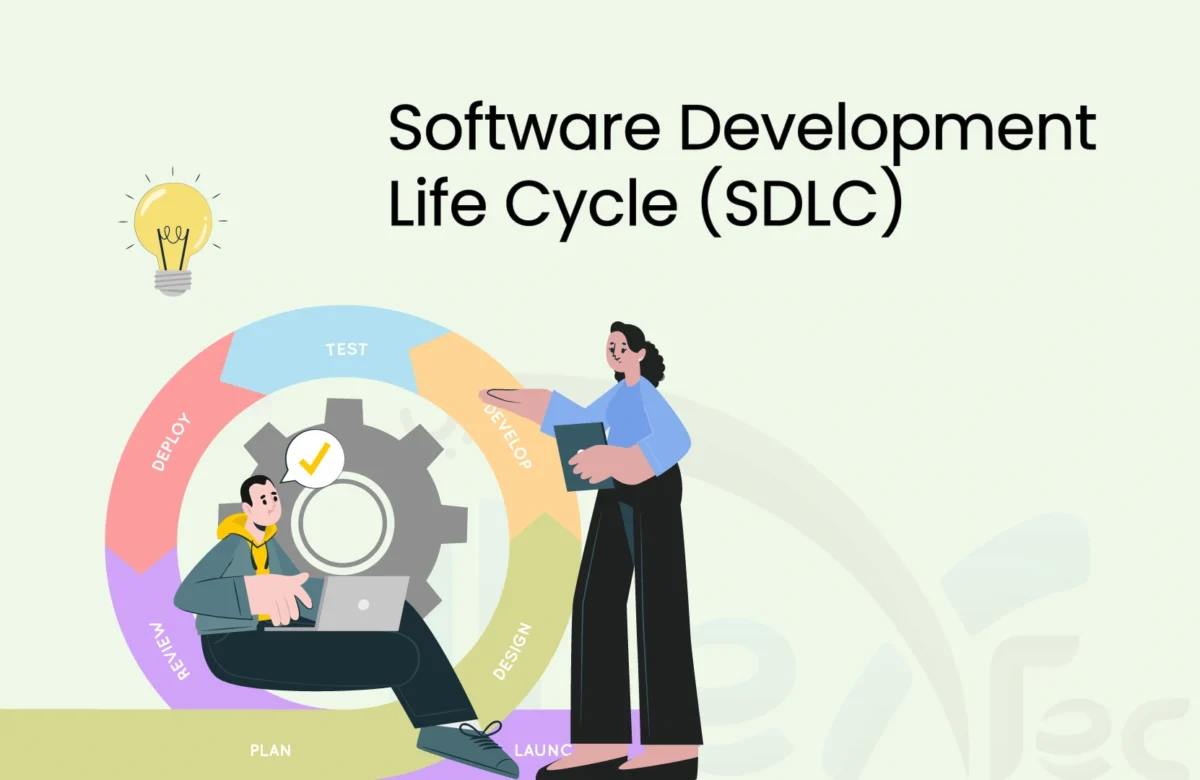 Understanding the Software Development Life Cycle and Its Phases